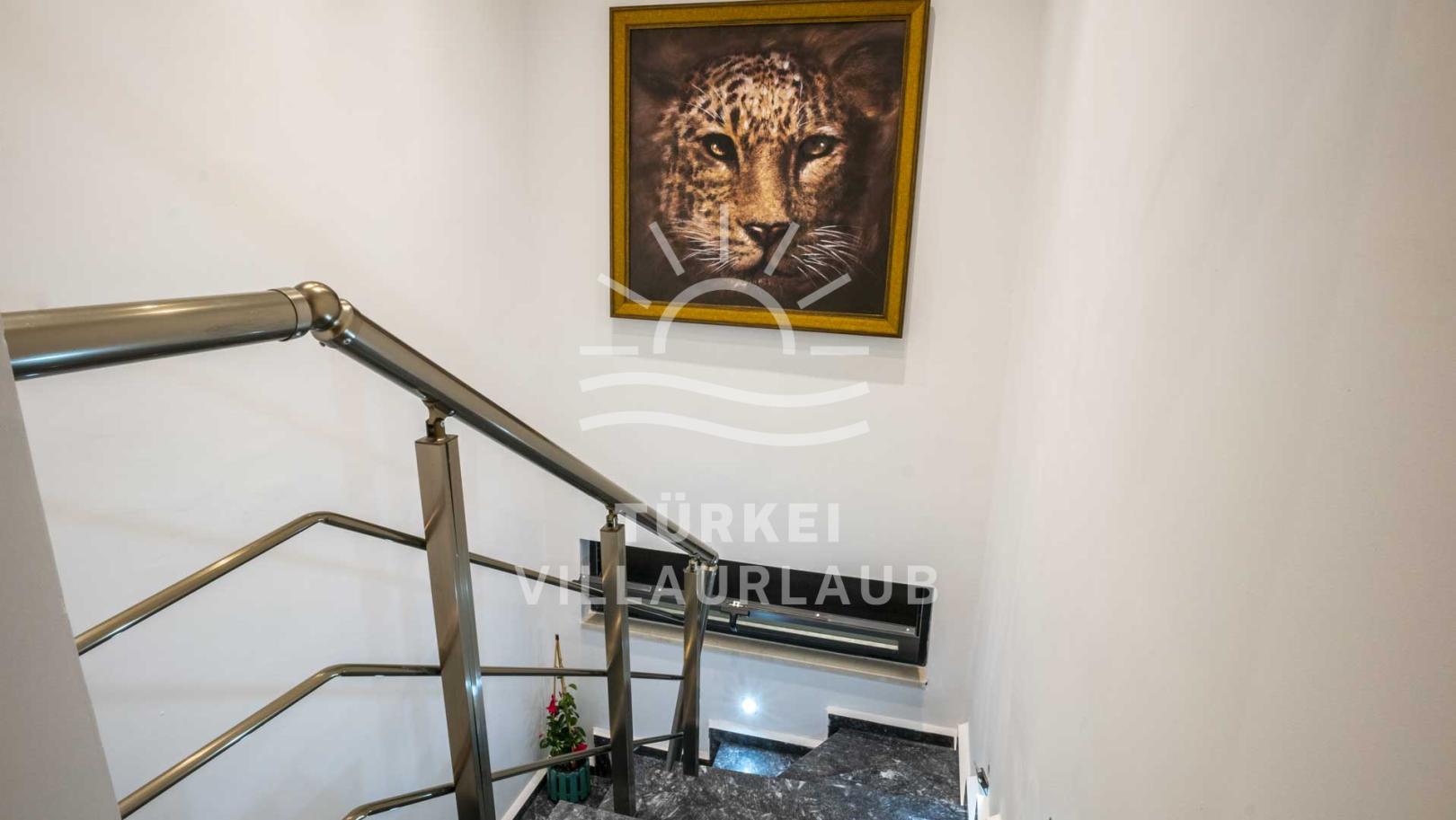 Villa Loco Kördere fotoğrafı