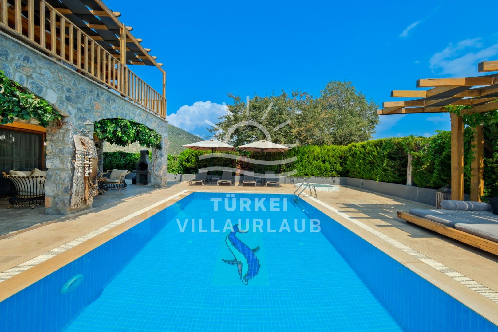 Villa Cara 2 Kayaköy fotoğrafı